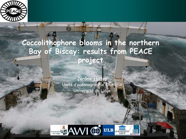 coccolithophore blooms in the northern bay of biscay results from peace project
