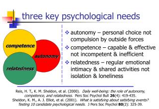 three key psychological needs