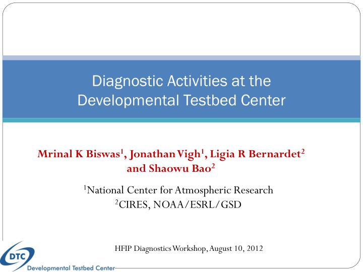 diagnostic activities at the developmental testbed center