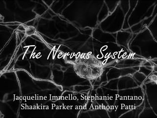 The Nervous System