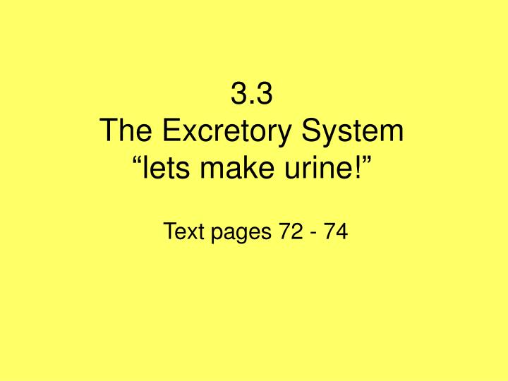 3 3 the excretory system lets make urine