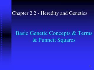Basic Genetic Concepts &amp; Terms &amp; Punnett Squares