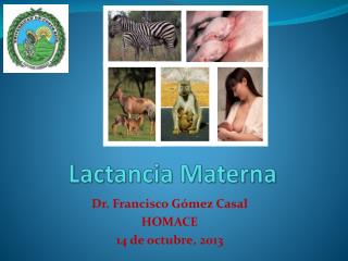 lactancia materna
