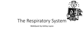 The Respiratory System