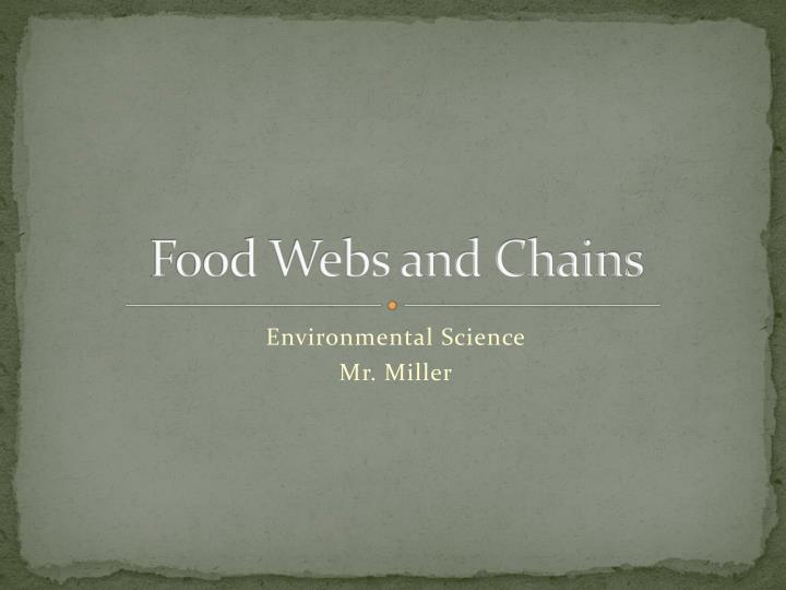 food webs and chains