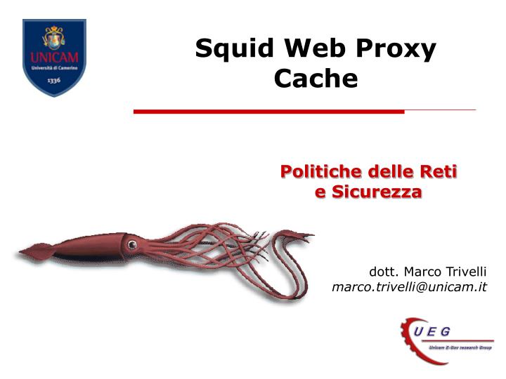 squid web proxy cache