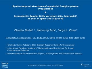Spatio -temporal structures of equatorial F-region plasma irregularities &amp;