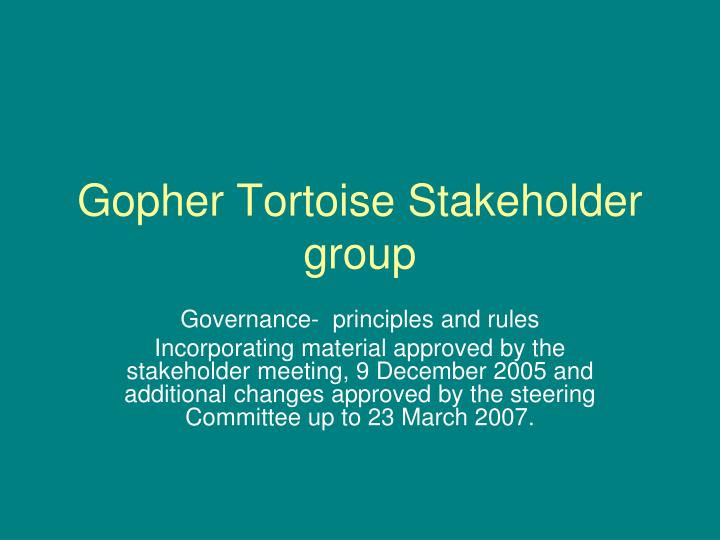 gopher tortoise stakeholder group