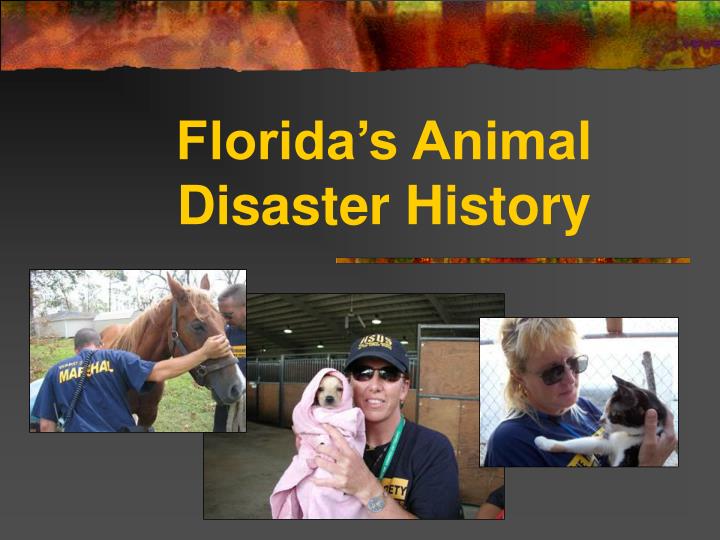 florida s animal disaster history
