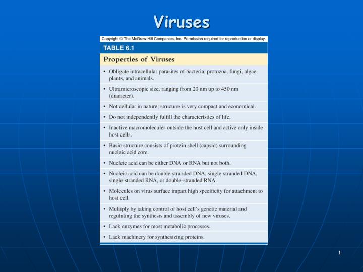 viruses