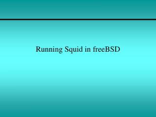 Running Squid in freeBSD