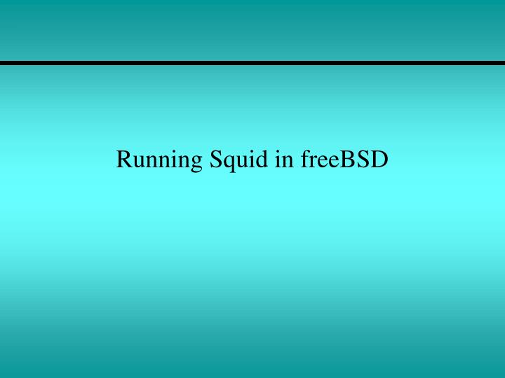 running squid in freebsd