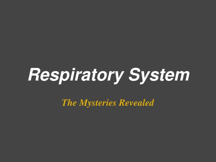 respiratory system