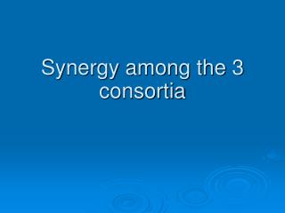 Synergy among the 3 consortia