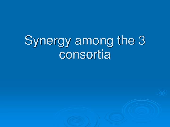 synergy among the 3 consortia