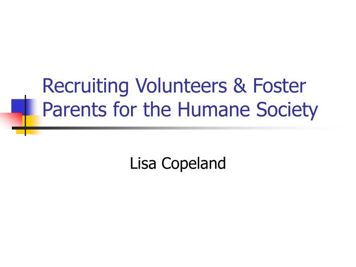 recruiting volunteers foster parents for the humane society