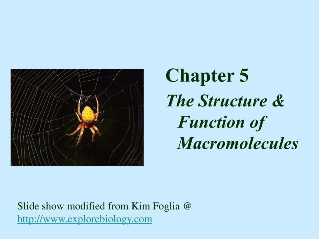 PPT - Chapter 5 The Structure & Function of Macromolecules PowerPoint ...
