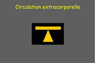 circulation extracorporelle