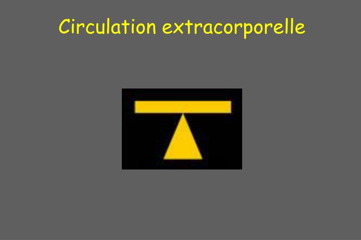 circulation extracorporelle