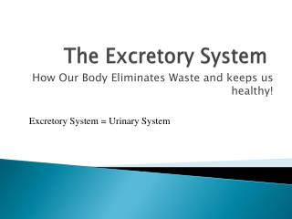 The Excretory System