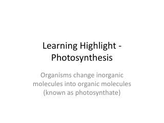 Learning Highlight - Photosynthesis