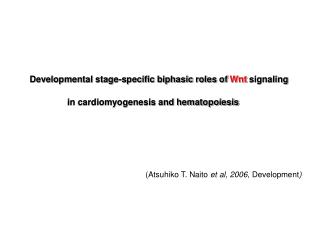Developmental stage-specific biphasic roles of Wnt signaling