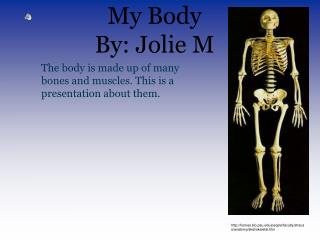 My Body By: Jolie M