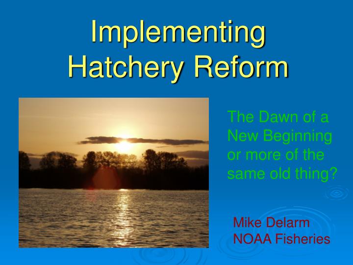 implementing hatchery reform