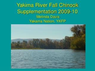Yakima River Fall Chinook Supplementation 2009-10 Melinda Davis Yakama Nation, YKFP