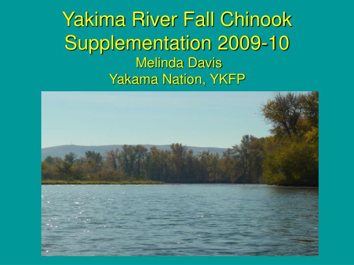 yakima river fall chinook supplementation 2009 10 melinda davis yakama nation ykfp