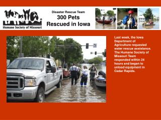 Disaster Rescue Team 300 Pets Rescued in Iowa