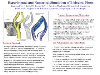Experimental and Numerical Simulation of Biological Flows
