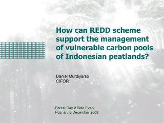 How can REDD scheme support the management of vulnerable carbon pools of Indonesian peatlands?