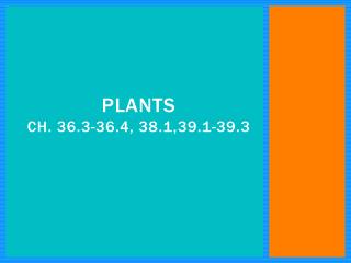 Plants ch. 36.3-36.4, 38.1,39.1-39.3