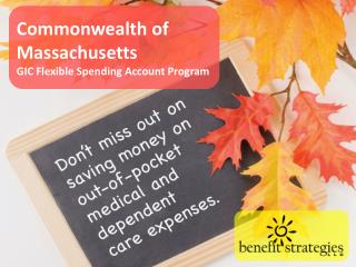 Commonwealth of Massachusetts GIC Flexible Spending Account Program