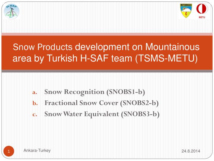 snow products development on mountainous area by turkish h saf team tsms metu