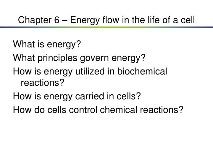 chapter 6 energy flow in the life of a cell