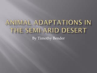 Animal Adaptations in the Semi-Arid Desert