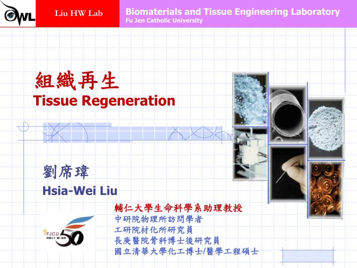 tissue regeneration