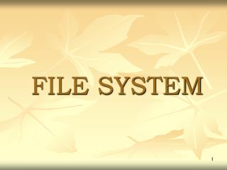file system