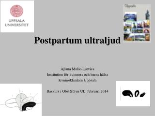 postpartum ultraljud