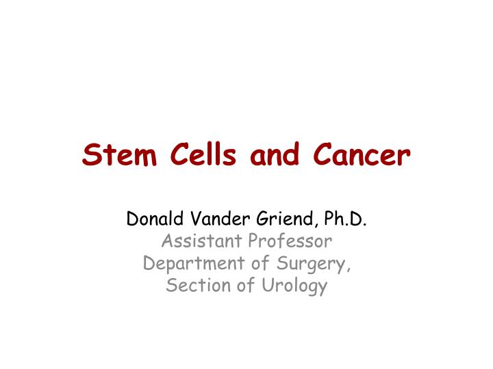 stem cells and cancer