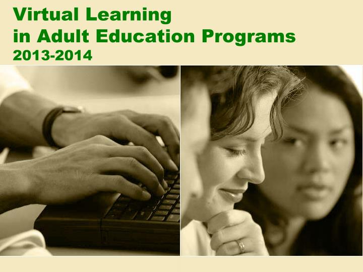 virtual learning in adult education programs 2013 2014
