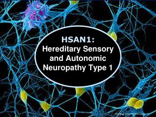 HSAN1: Hereditary Sensory and Autonomic Neuropathy Type 1