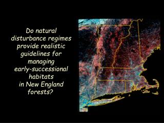 Do natural disturbance regimes provide realistic guidelines for managing