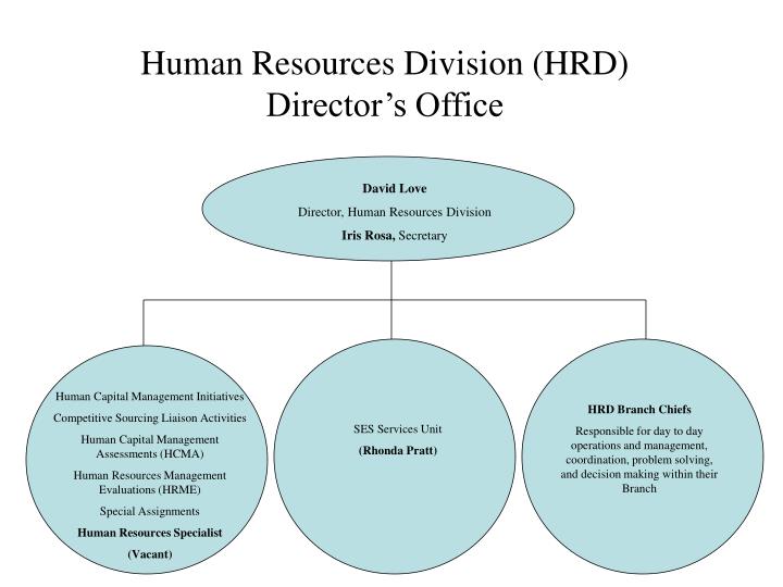 human resources division hrd director s office