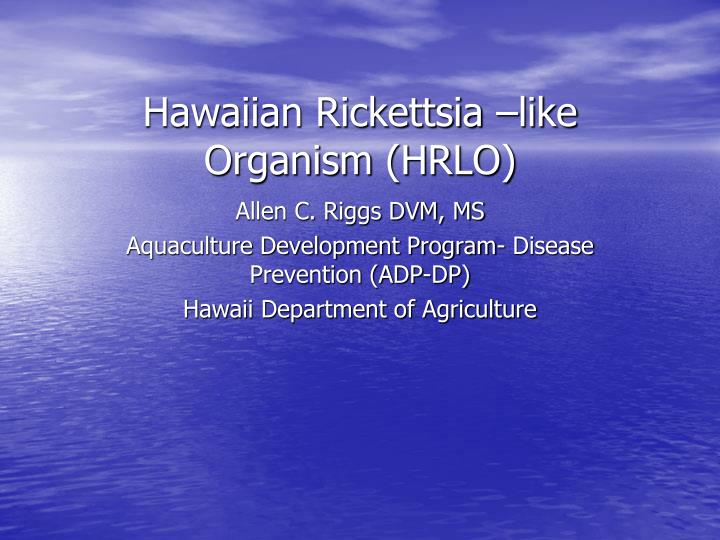hawaiian rickettsia like organism hrlo