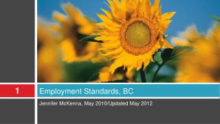 Employment Standards, BC