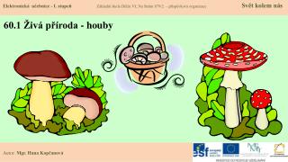 60 1 iv p roda houby