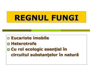 regnul fungi